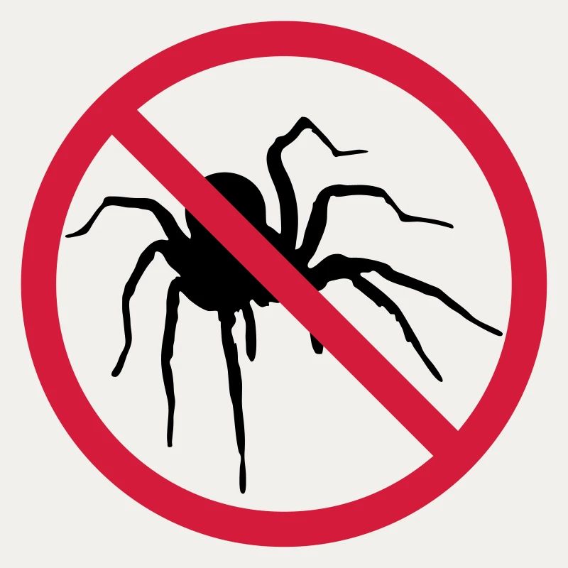 aucune araignée interdit bouclier conception araignée cl