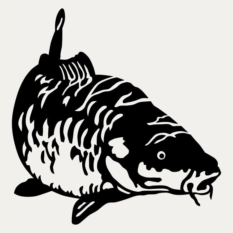 Carp