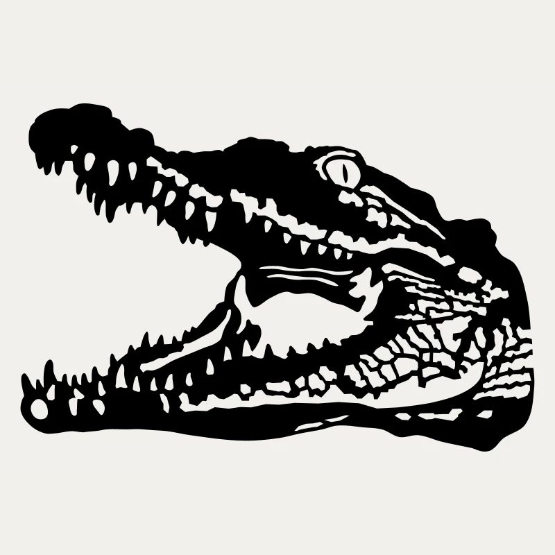 Crocodile
