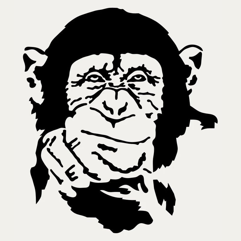 monkey