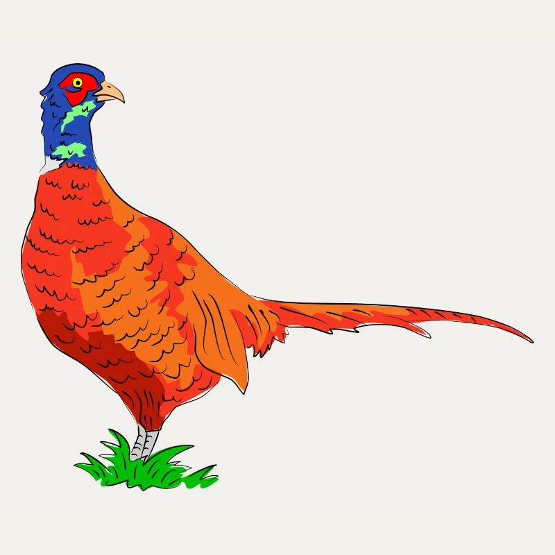 fasan vogel jäger
