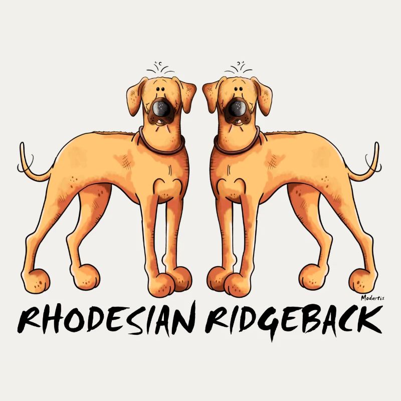 Rhodesian Ridgeback Duo