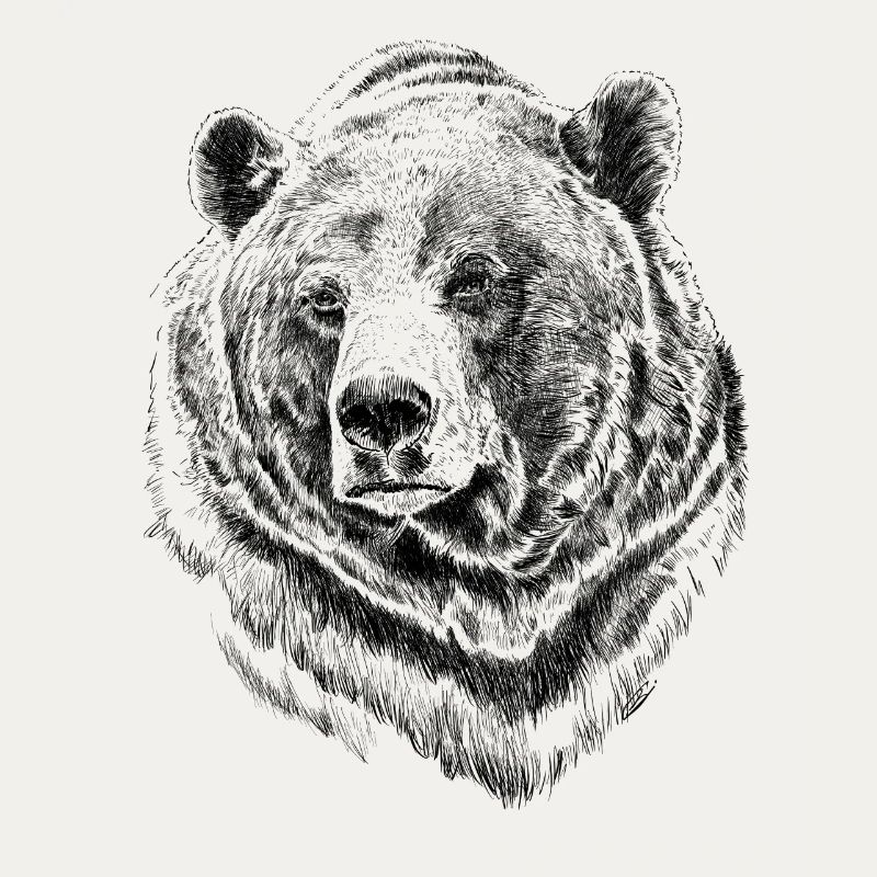 Bär