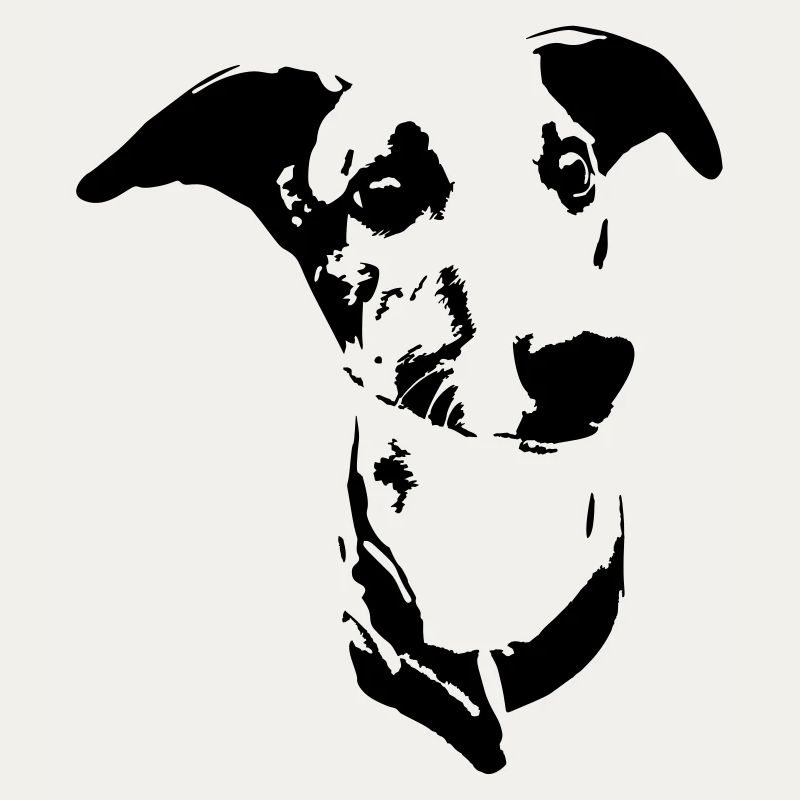 Whippet head