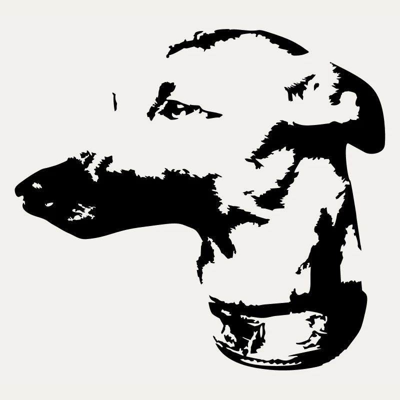 Whippet head