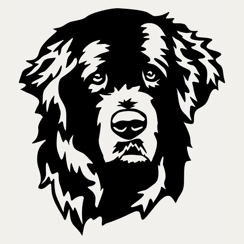Newfoundland head
