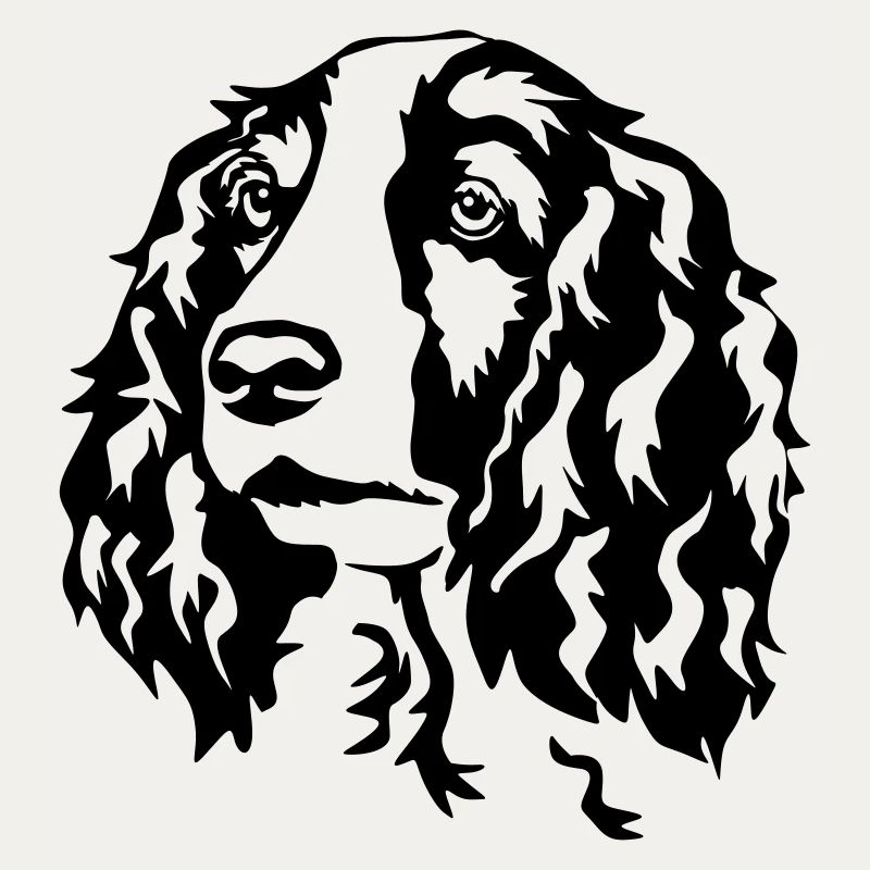Welsh Springer Spaniel Kopf