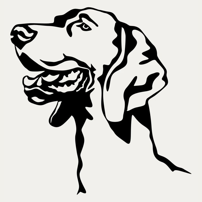 Weimaraner Kopf