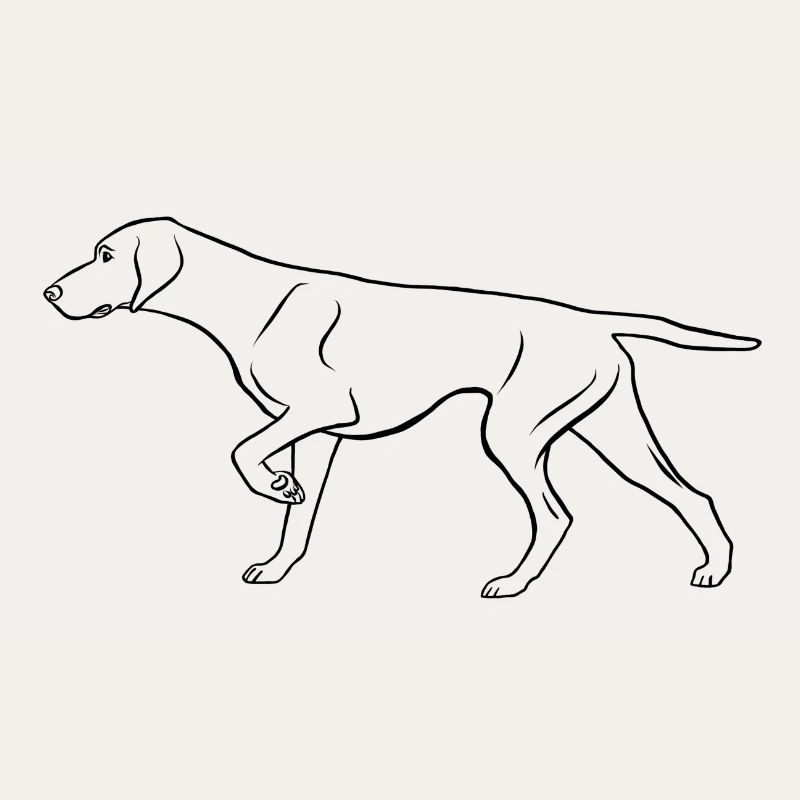 Dt. Shorthaired Pointer, prominent