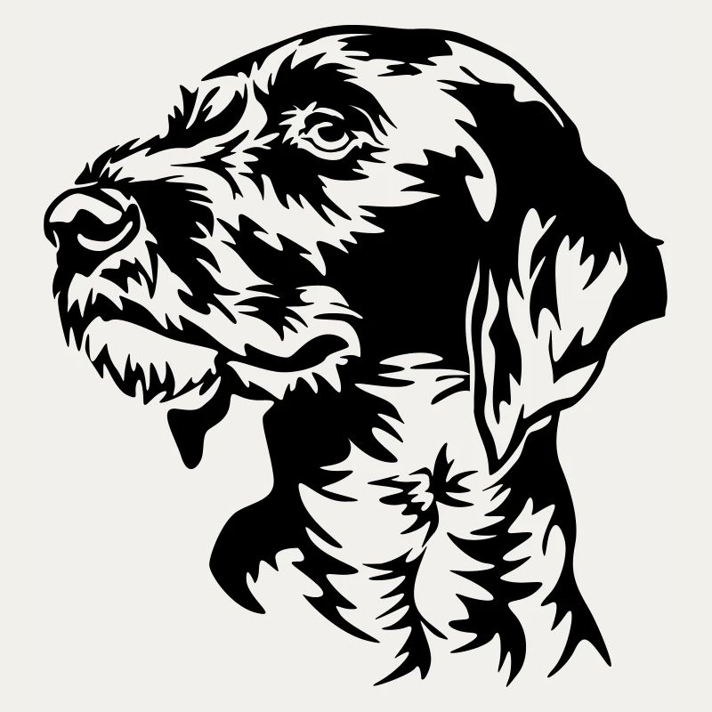 German Wirehaired Pointer head