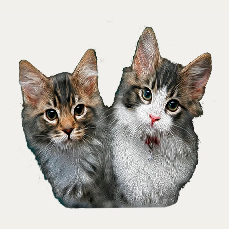 Chatons