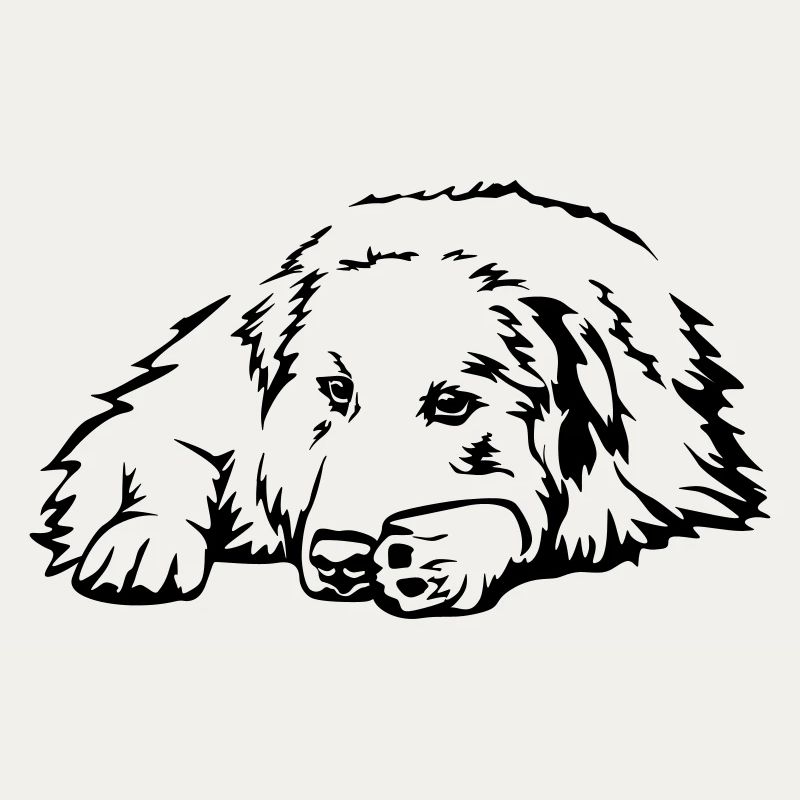 Pyrenees mountain dog
