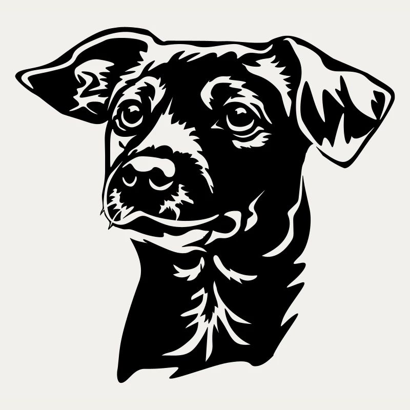 Jack Russell Terrier Head