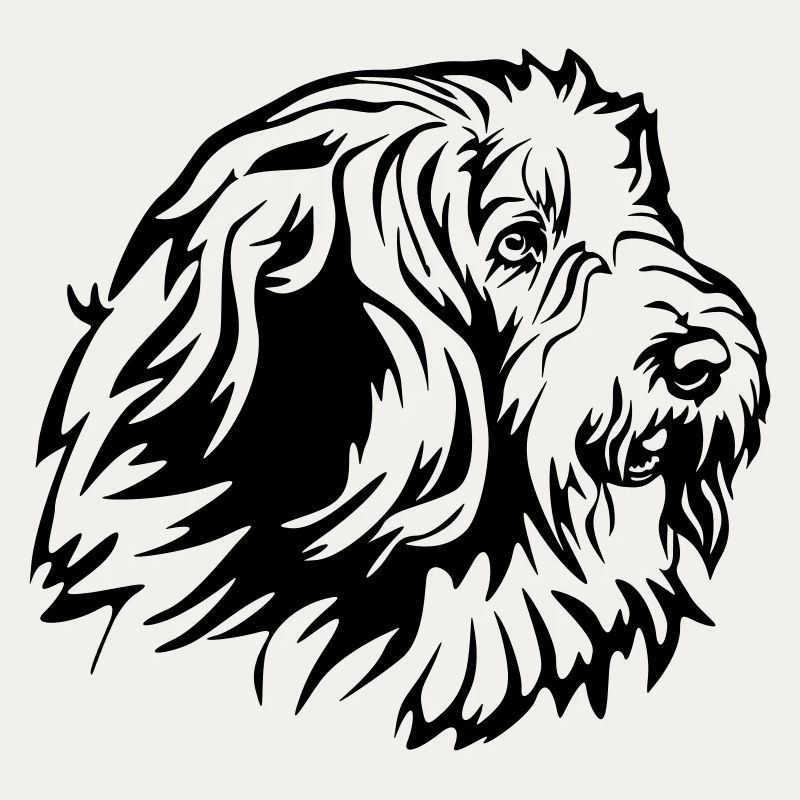 Bearded Collie Head