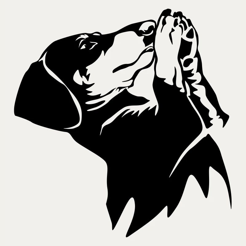 Dachshund