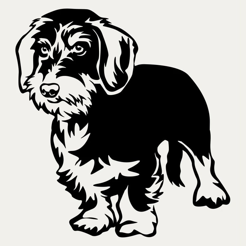 Dachshund