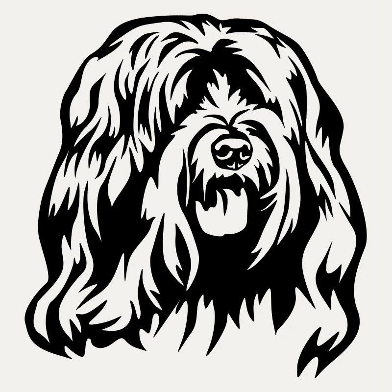 Tibetan Terrier Head