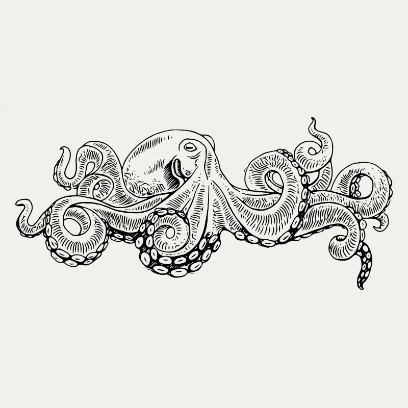 Octopus - Octopus Black Pattern