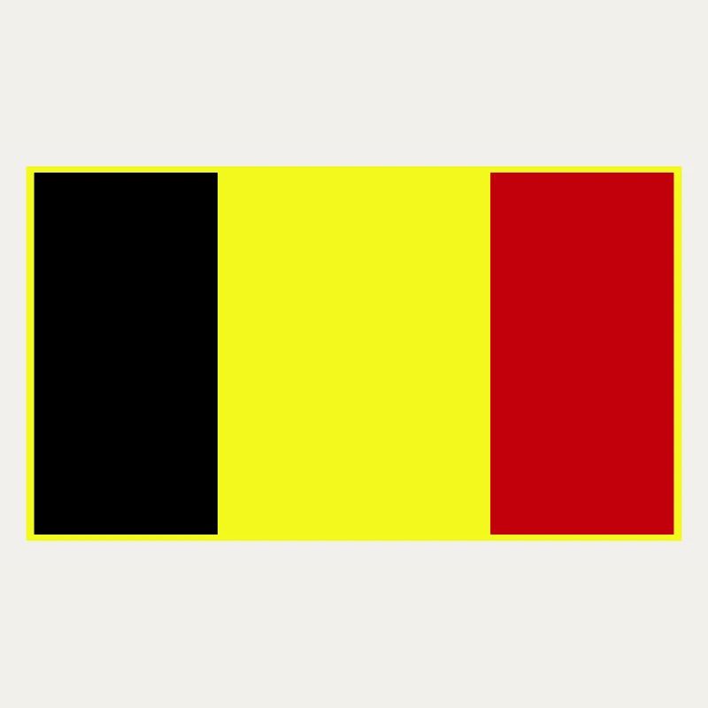Drapeau tricolore personnalisable