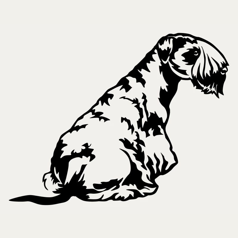 Cesky Terrier