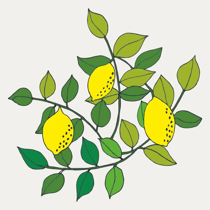 zitronen baum
