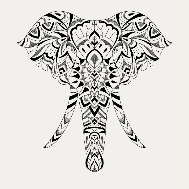 Graphic Elephant