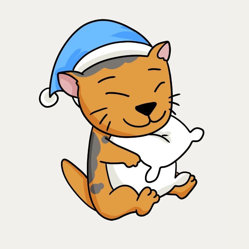 Cat Cat Breed Scottish Folding Ear Cat