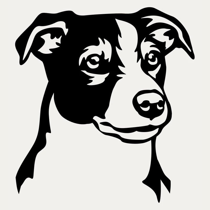 Jack Russell Terrier Head