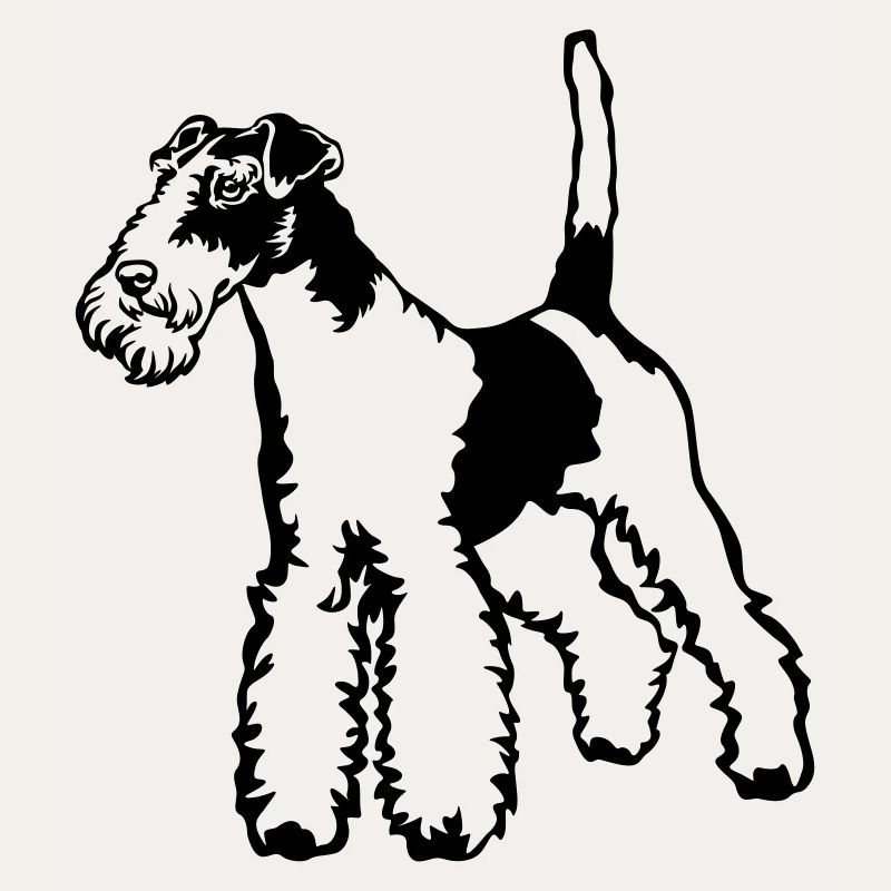 Foxterrier