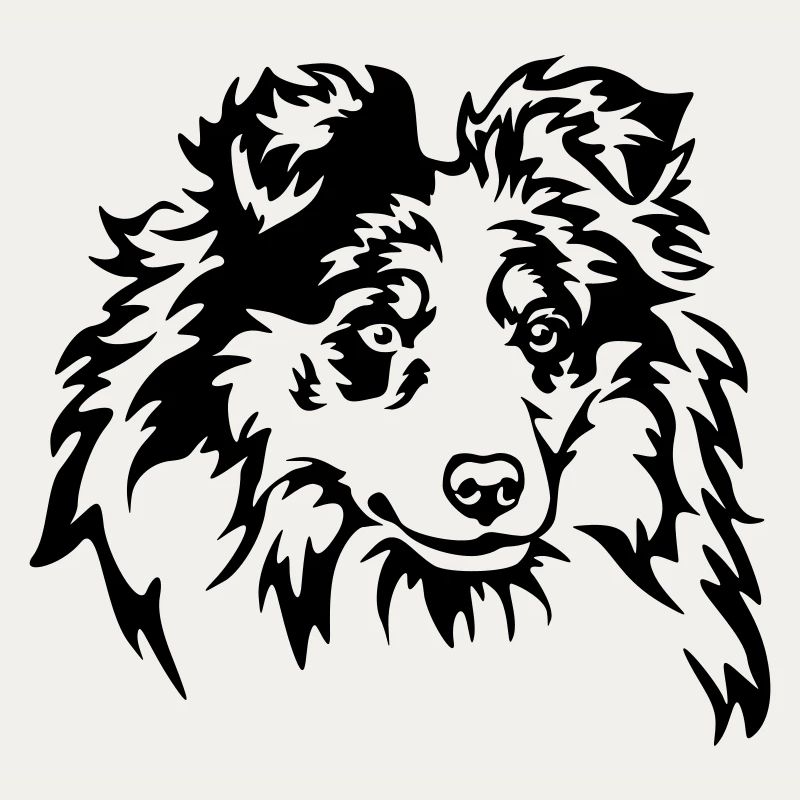 Sheltie Head