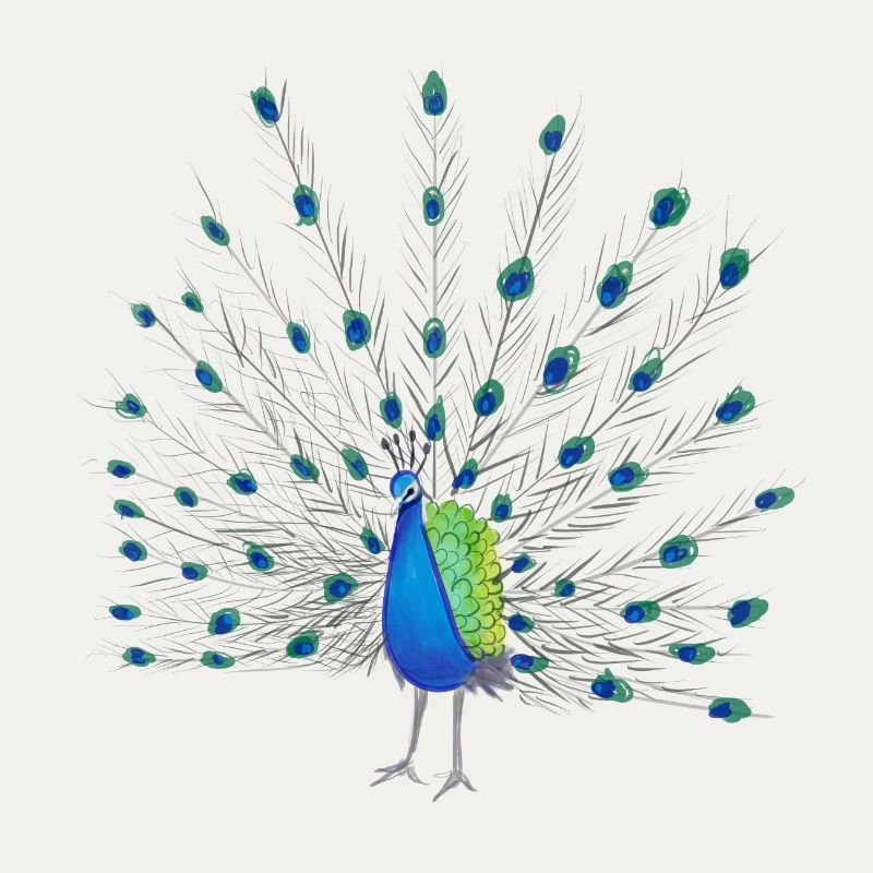Peacock Feather Art