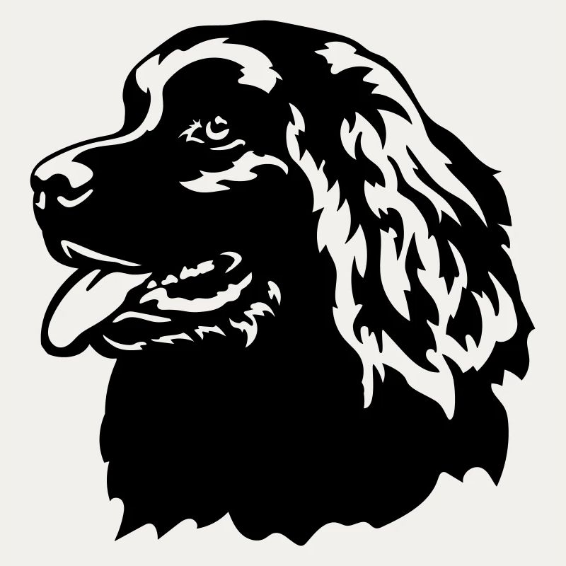 Newfoundland Head