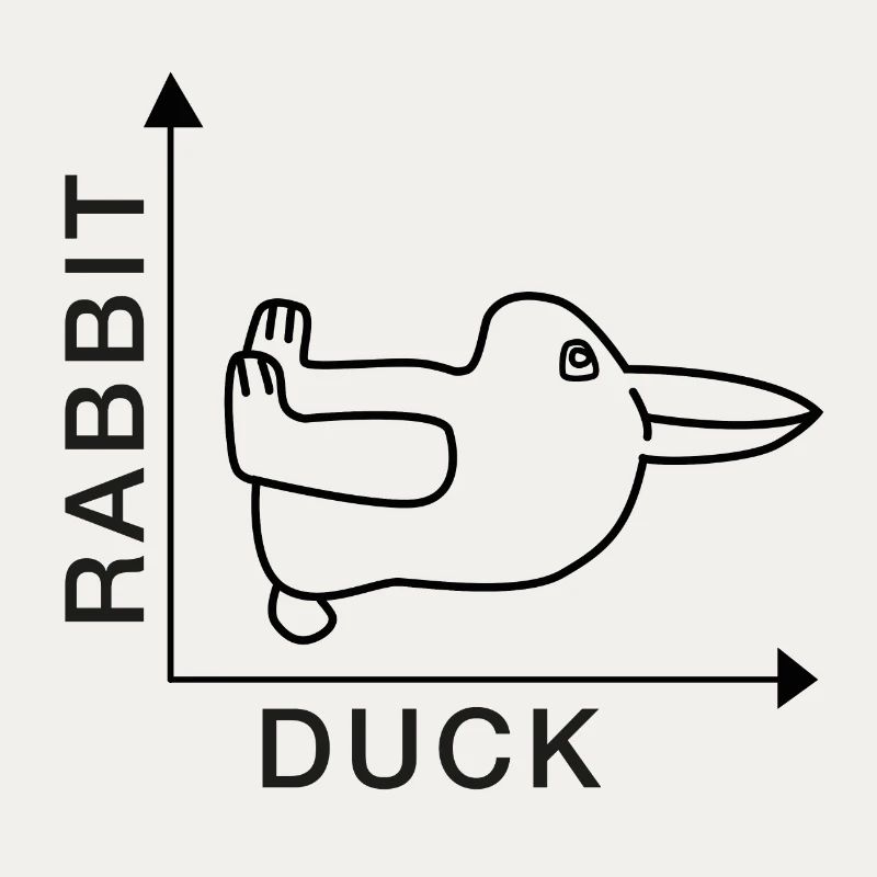 Rabbit - Duck - Nerdshirt