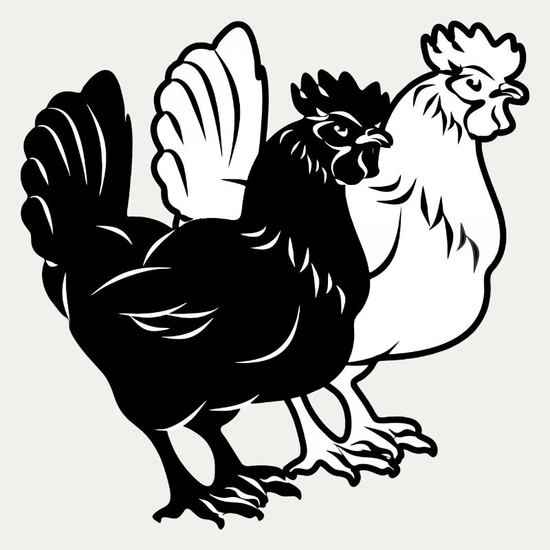 Two chickens