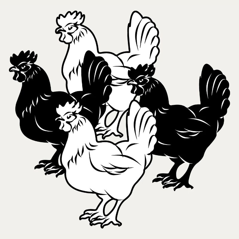 four chickens
