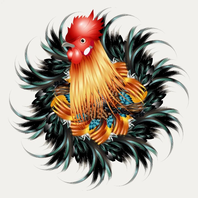 magnificent rooster in feather frame