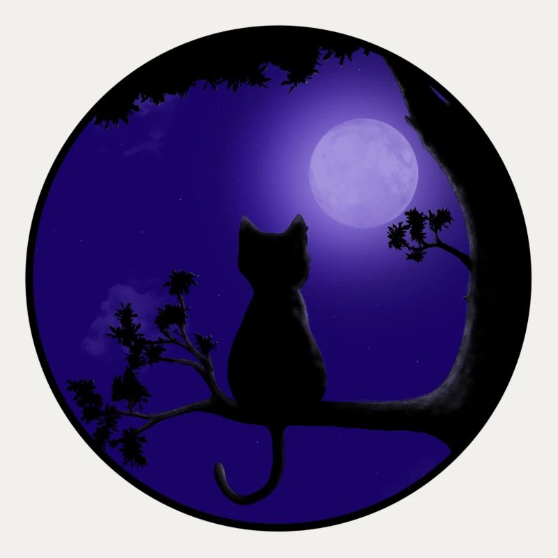 Cat Moon