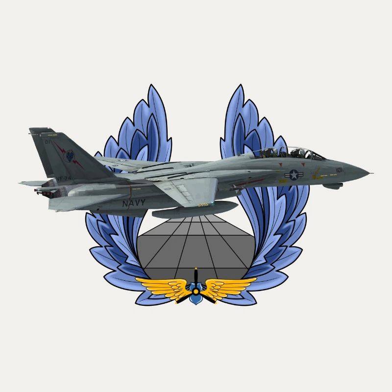 F-14 Tomcat