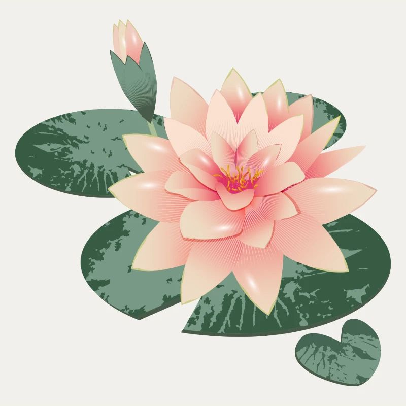 Fleur de nénuphars avec bourgeon dans l’étang de nénuphars