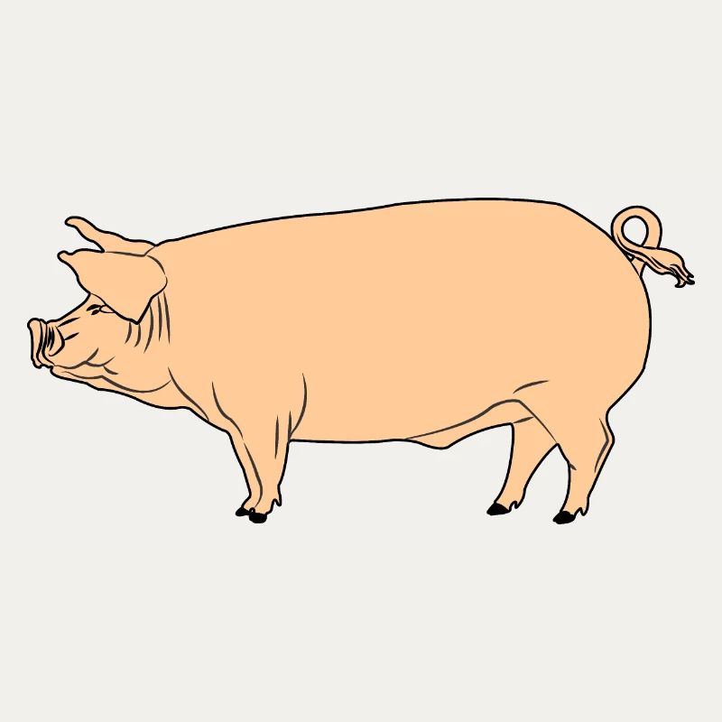 Rosa Schwein