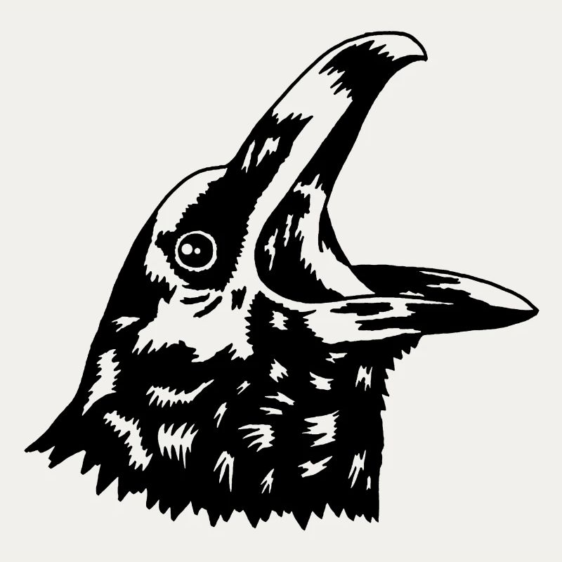 Krähe