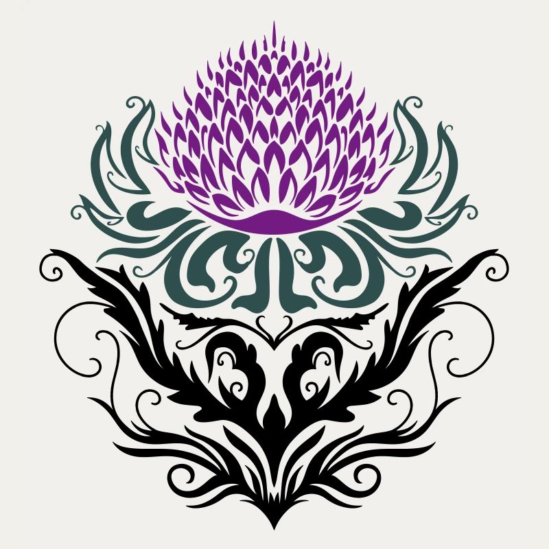 Distel lila Thistle