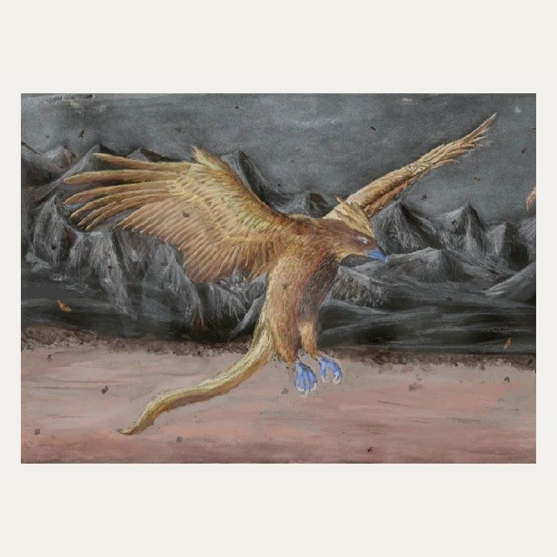 Wüstenflug Drachenvogel