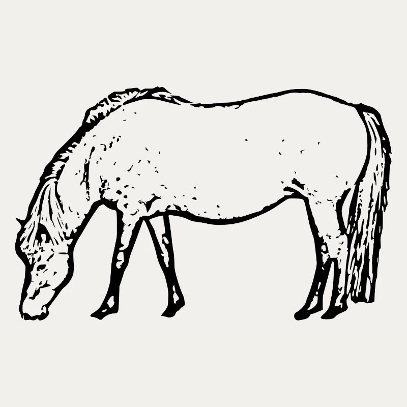 Pferd schwarz