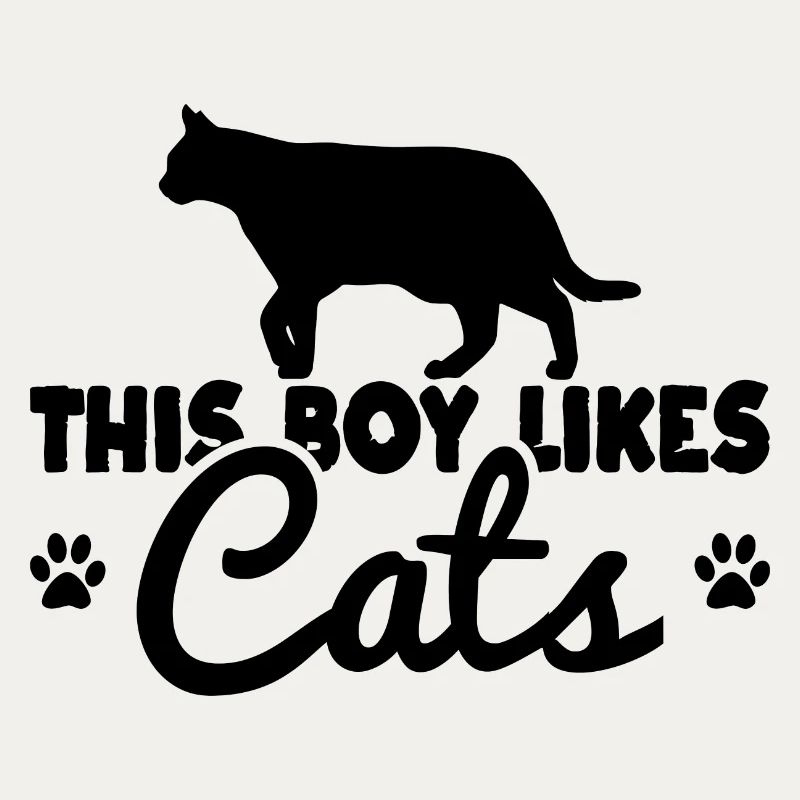 Katzen Junge