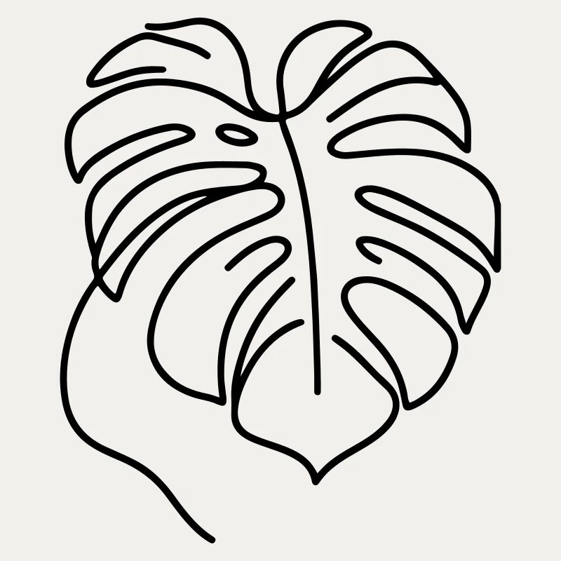 Monstera