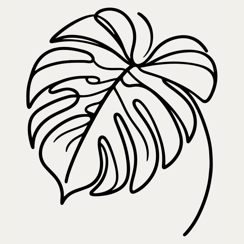 Monstera
