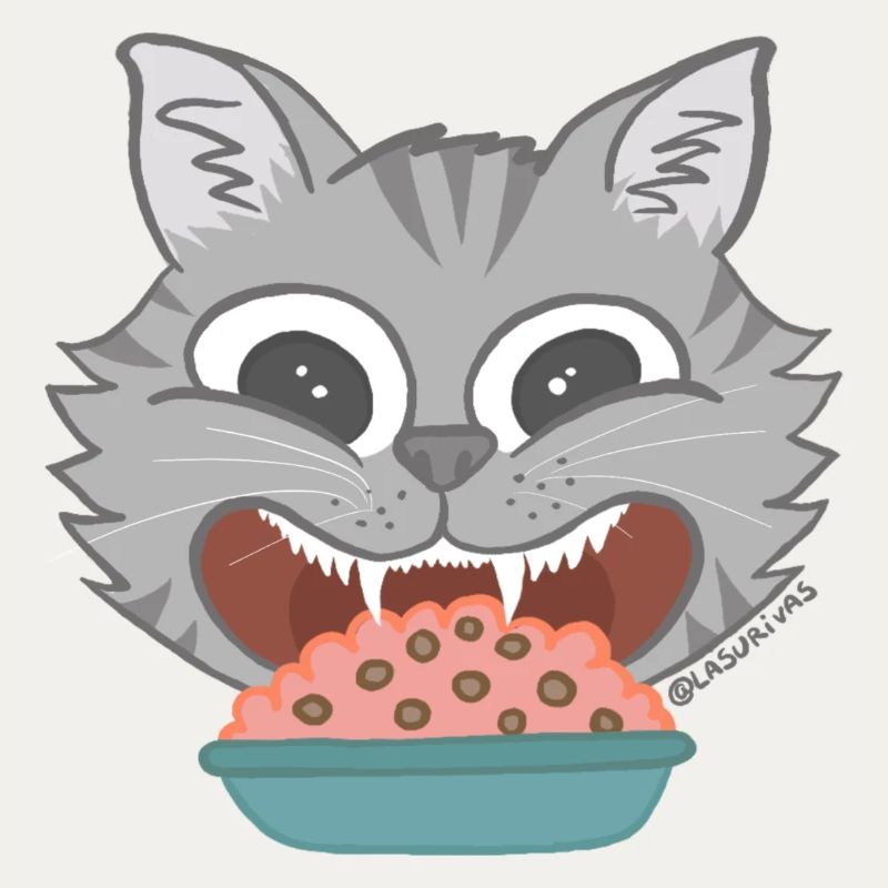 Gato