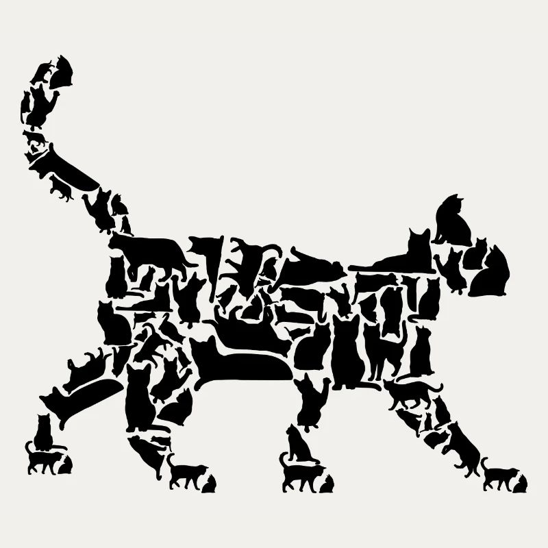 Katze