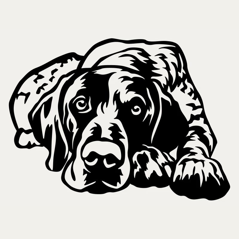 German Shorthaired Pointer